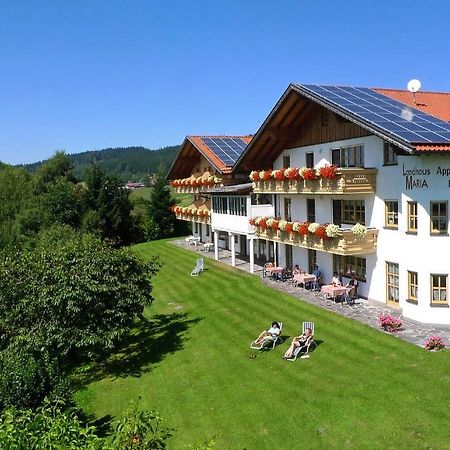 Hotel Landhaus Maria Bed&Breakfast Regen Zewnętrze zdjęcie